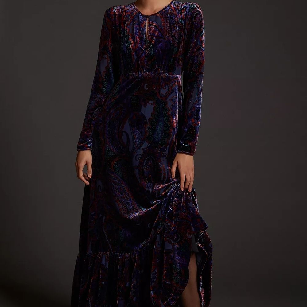 Anthropologie Paisley Velvet Burnout Long Sleeve Dress - Picture 8 of 11